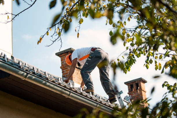 Best Chimney Flashing Repair  in Ridgeway, VA